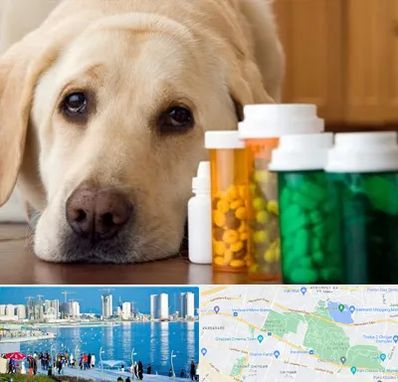 داروخانه دامپزشکی در چیتگر 