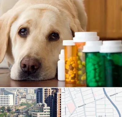 داروخانه دامپزشکی در خیابان بهشتی