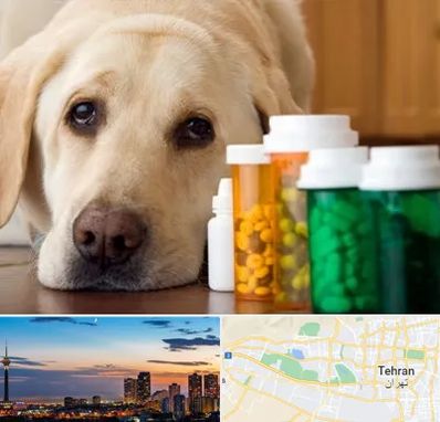 داروخانه دامپزشکی در غرب تهران 