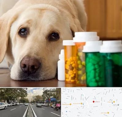 داروخانه دامپزشکی در دولت