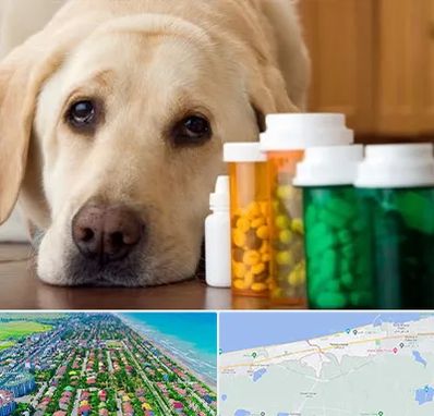 داروخانه دامپزشکی در فریدونکنار