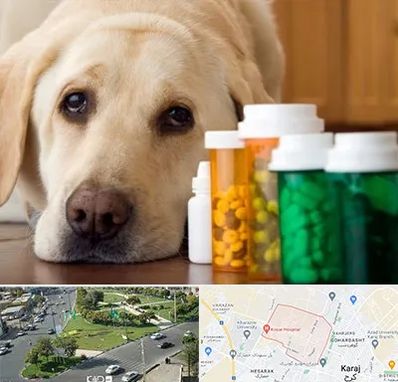 داروخانه دامپزشکی در شاهین ویلا کرج