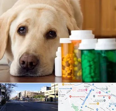 داروخانه دامپزشکی در خیابان ملاصدرا شیراز