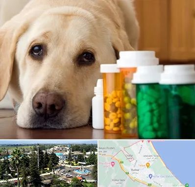 داروخانه دامپزشکی در رودسر