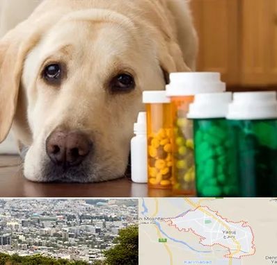 داروخانه دامپزشکی در یاسوج