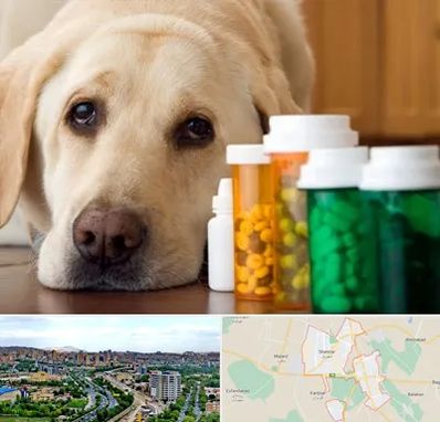 داروخانه دامپزشکی در شهریار