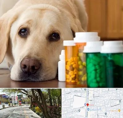 داروخانه دامپزشکی در خیابان توحید اصفهان