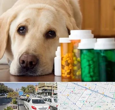 داروخانه دامپزشکی در مفتح مشهد