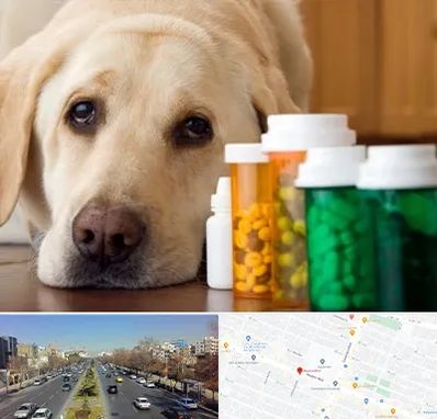 داروخانه دامپزشکی در بلوار معلم مشهد