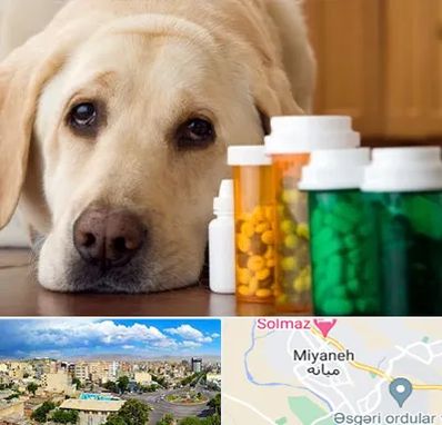 داروخانه دامپزشکی در میانه