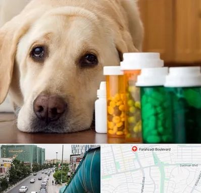 داروخانه دامپزشکی در بلوار فرحزادی