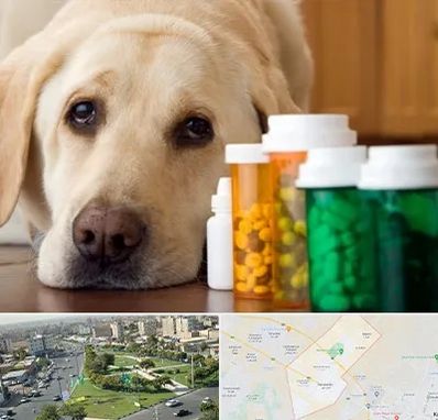 داروخانه دامپزشکی در کمال شهر کرج