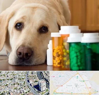 داروخانه دامپزشکی در قاسم آباد مشهد