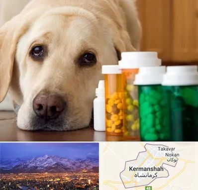 داروخانه دامپزشکی در کرمانشاه