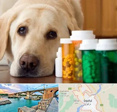 داروخانه دامپزشکی در دزفول