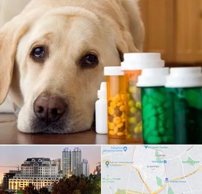 داروخانه دامپزشکی در فرشته 