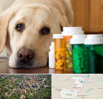 داروخانه دامپزشکی در دماوند