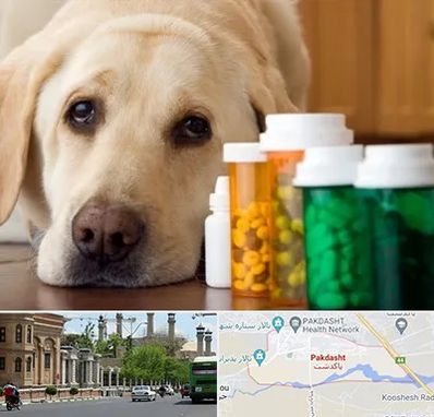 داروخانه دامپزشکی در پاکدشت