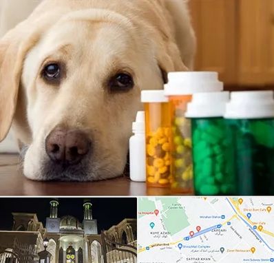 داروخانه دامپزشکی در زرگری شیراز