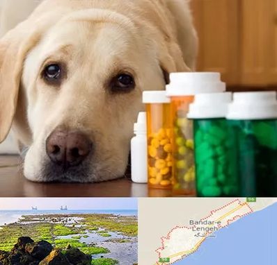 داروخانه دامپزشکی در بندرلنگه