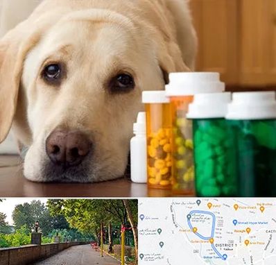 داروخانه دامپزشکی در بلوار گیلان رشت