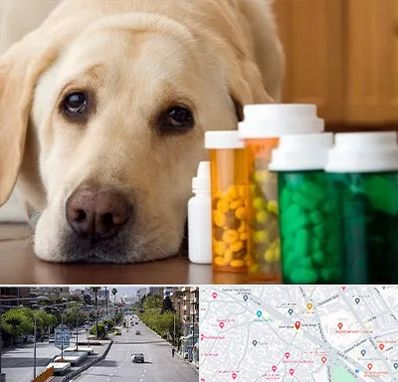 داروخانه دامپزشکی در خیابان زند شیراز