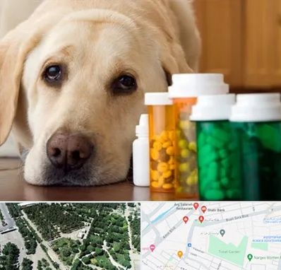 داروخانه دامپزشکی در سالاریه قم