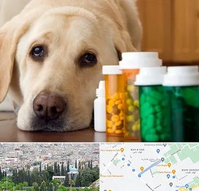 داروخانه دامپزشکی در محلاتی شیراز