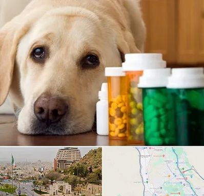 داروخانه دامپزشکی در فرهنگ شهر شیراز