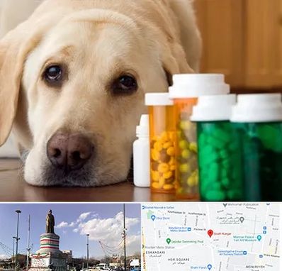 داروخانه دامپزشکی در کارگر جنوبی