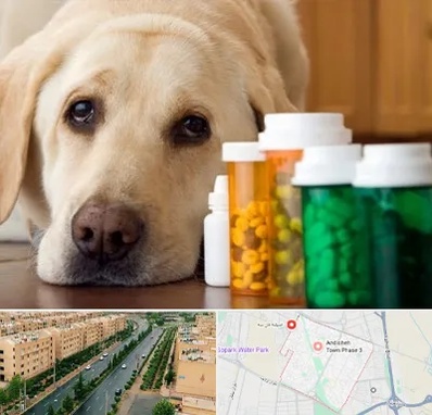 داروخانه دامپزشکی در فاز سه اندیشه