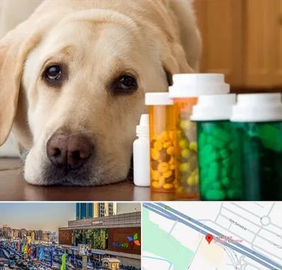 داروخانه دامپزشکی در لاله پارک تبریز