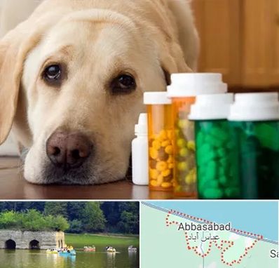 داروخانه دامپزشکی در عباس آباد