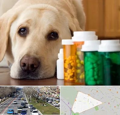 داروخانه دامپزشکی در احمدآباد مشهد