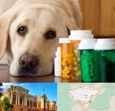 داروخانه دامپزشکی در خوی