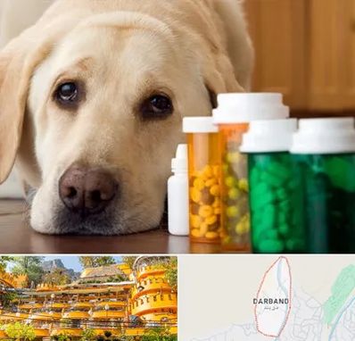 داروخانه دامپزشکی در دربند