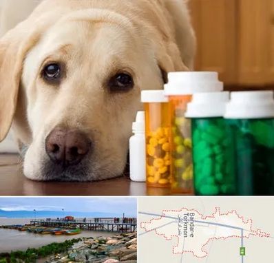 داروخانه دامپزشکی در بندر ترکمن