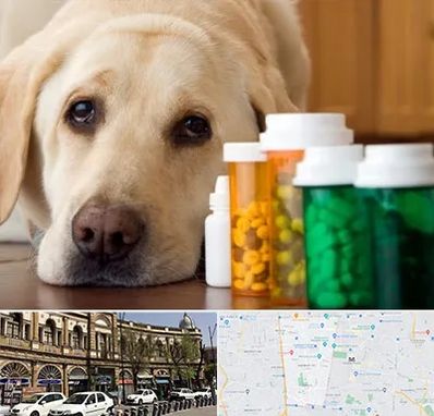 داروخانه دامپزشکی در منطقه 11 تهران