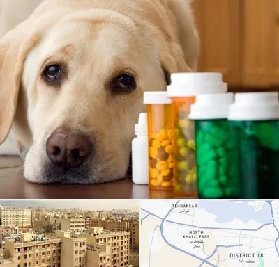 داروخانه دامپزشکی در جنوب غرب تهران