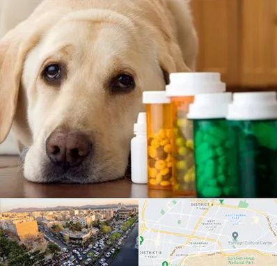 داروخانه دامپزشکی در تهرانپارس 