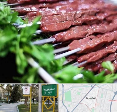 جگرکی در تهران ویلا