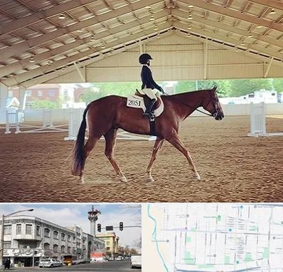 باشگاه سوارکاری در 17شهریور