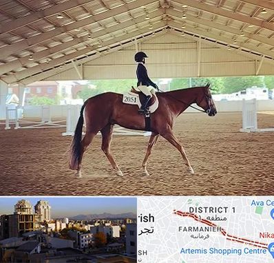 باشگاه سوارکاری در فرمانیه