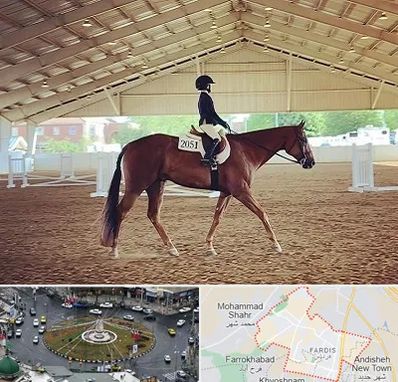 باشگاه سوارکاری در فردیس کرج 