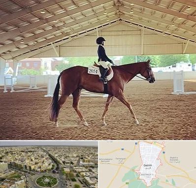 باشگاه سوارکاری در قزوین