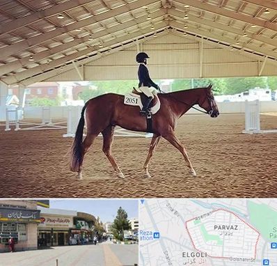 باشگاه سوارکاری در پرواز تبریز