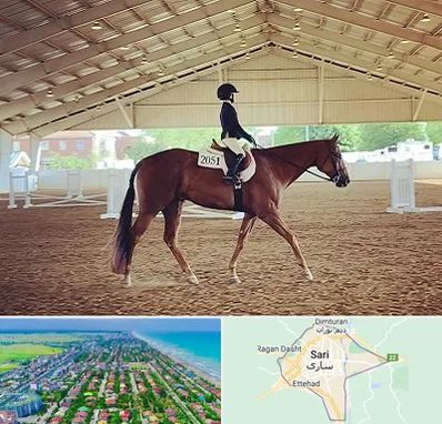 باشگاه سوارکاری در ساری