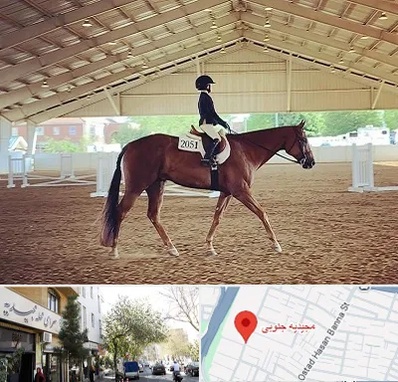باشگاه سوارکاری در مجیدیه جنوبی