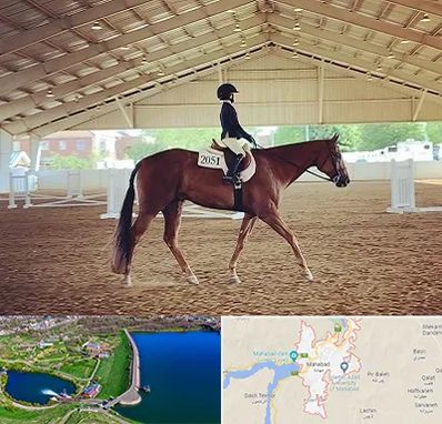 باشگاه سوارکاری در مهاباد