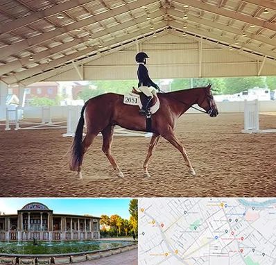 باشگاه سوارکاری در عفیف آباد شیراز